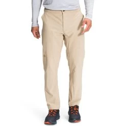 THE NORTH FACE Men’s Paramount Active Pants